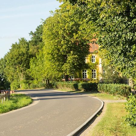 Naturnahes, Neu Moebl.Apartment, Hundefreundlich Neu Gaarz المظهر الخارجي الصورة