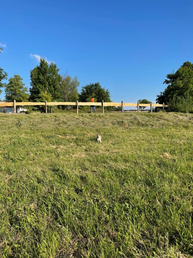 Naturnahes, Neu Moebl.Apartment, Hundefreundlich Neu Gaarz المظهر الخارجي الصورة