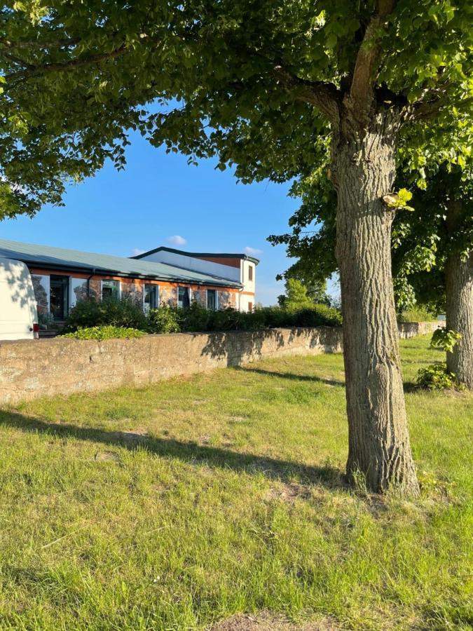 Naturnahes, Neu Moebl.Apartment, Hundefreundlich Neu Gaarz المظهر الخارجي الصورة